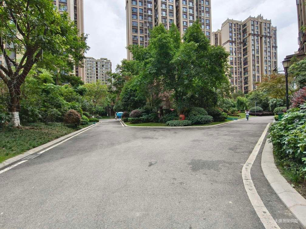 蓝光coco金沙三期