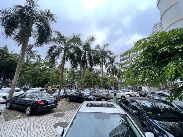 海口美兰和平南鑫和大厦文明天桥旁振兴大厦,清清爽爽南北通透超大