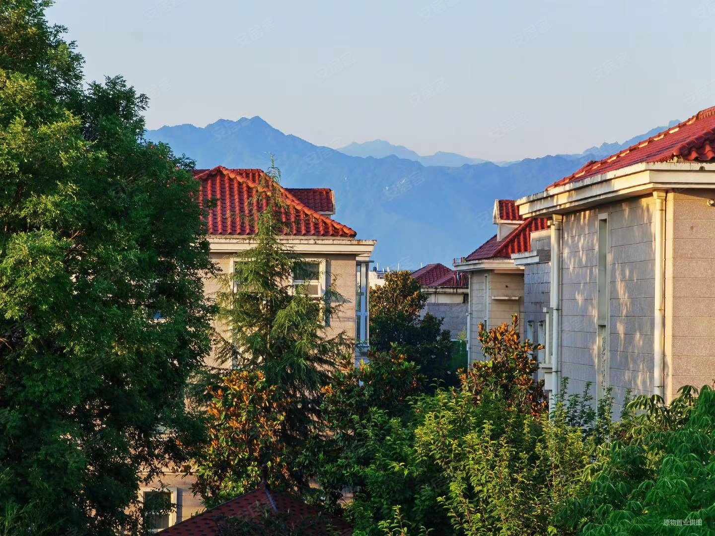 急售,枫丹白露苑(别墅)二手房,1200万,6室3厅,5卫,560平米-西安安居客