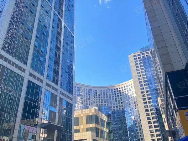 华府新天地 精装修 朝阳面 拎包入住 实图实价 民水电,沈河租房-沈阳