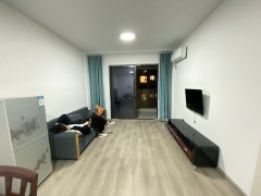北仑 租房天花板 霞浦地铁站附近 三室两厅一卫 干净清爽