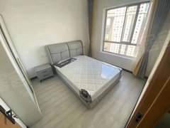 上海徐汇康健已消毒,拎包入住(朝南精装)配套齐全,近地铁商场,可预定网签出租房源真实图片