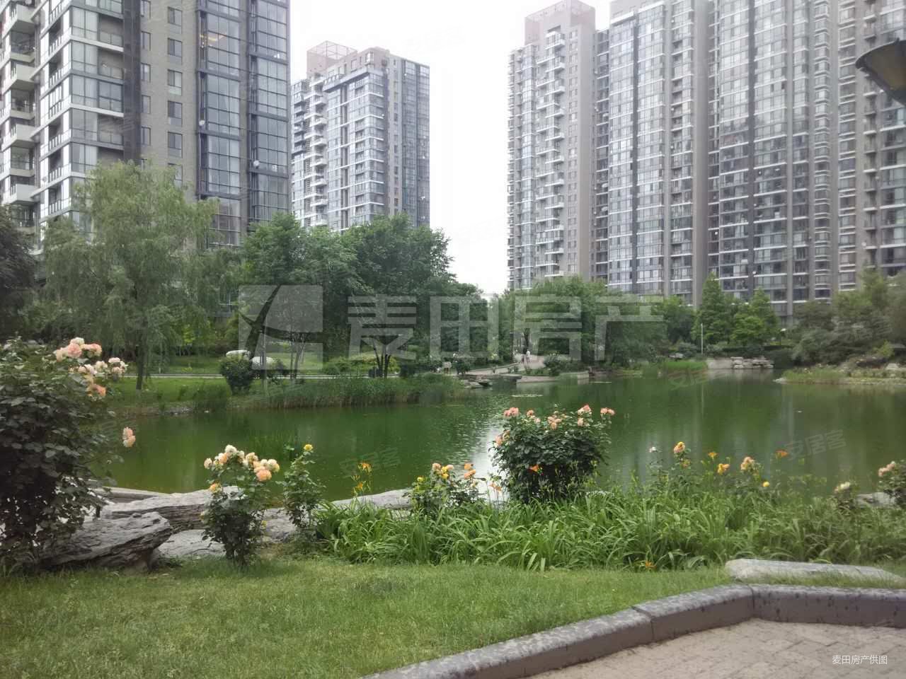 观湖国际5号楼三居 位置好 大面宽客厅 带冬夏阳台