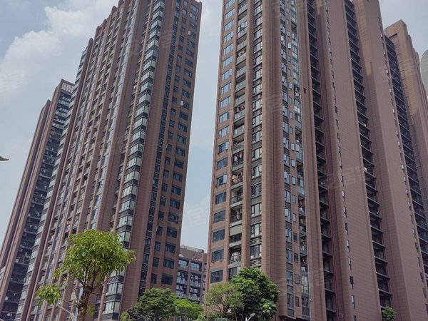 深圳龙华梅林关口新彩苑(商住楼)实图实价!