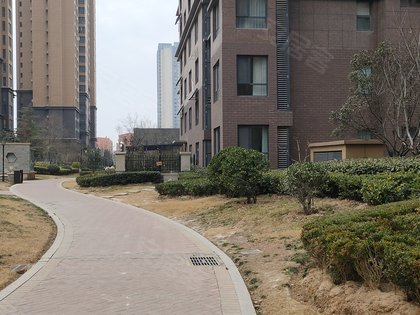 星海国际