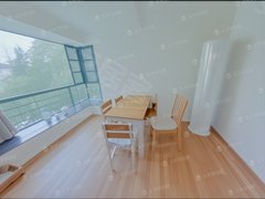 上海黄浦蓬莱公园近陆家浜地铁新邻广场,精装全配 拎包入住 可停车 随时看房出租房源真实图片