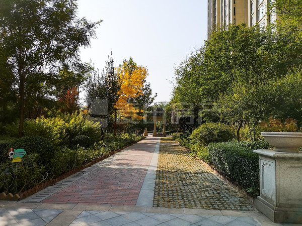 酒仙桥租房,南北通透 3室2厅 丽都壹号,朝阳租房-北京58安居客