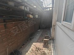 石家庄裕华体育南大街新上  电业小区 四室  一楼带院  43南门附近出租房源真实图片