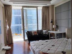 杭州上城南星蓝色钱江酒店式公寓高楼层豪华装修随时可以拎包入住出租房源真实图片