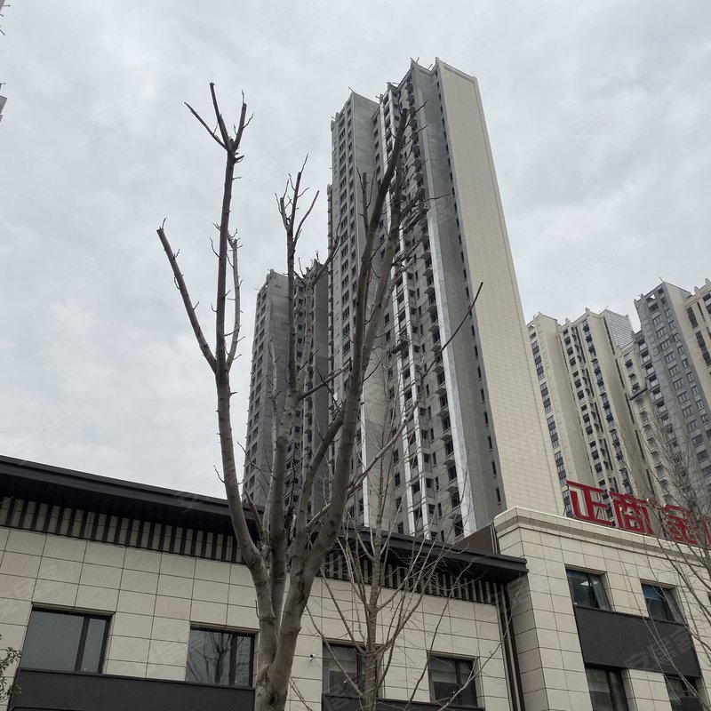 【正商金域世家, 正商金域世家小区专家解读页】- 武汉58同城