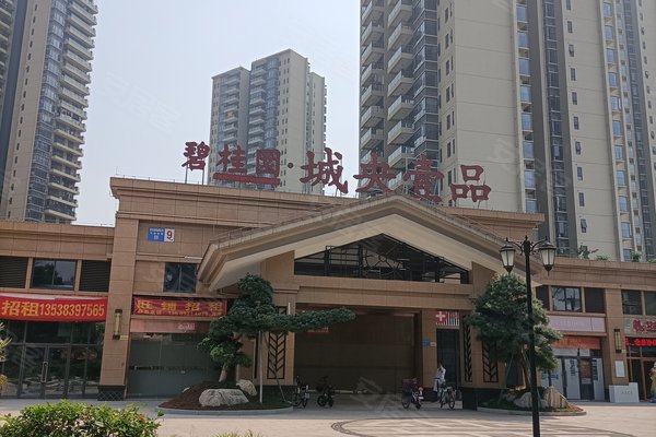 碧桂园城央壹品