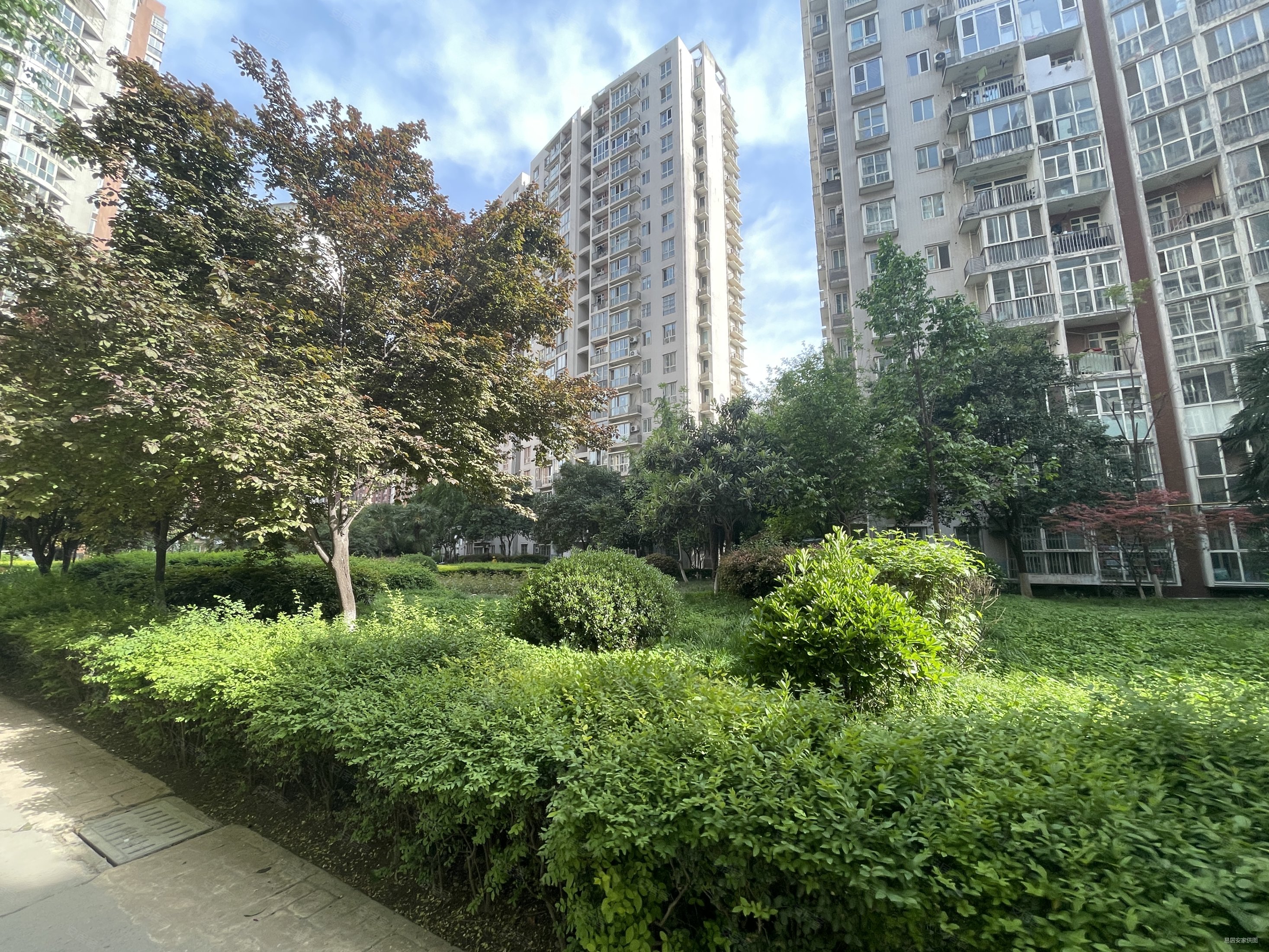 枫韵蓝湾3室2厅2卫137.95㎡南北195万