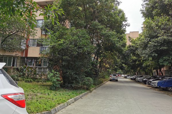 成都小区 温江小区 国色天香小区 大庆蜀苑 大庆蜀苑怎么样