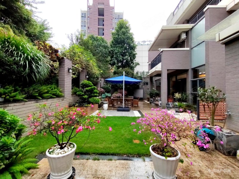 tcl科学园国际e城 别墅 带电梯房 带花园,tcl科学园国际e城二手房