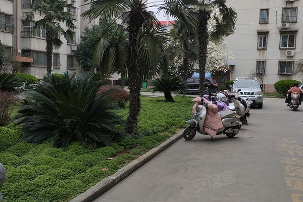 三川花园怎么样,好不好_中介房产经纪人:王明对三川花园的评价-南阳