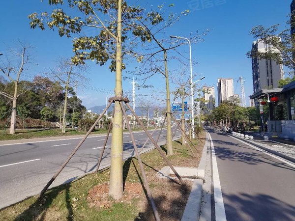 福州仓山火车南站安平佳园安平佳园 包物业宽带3房精装出租房源真实