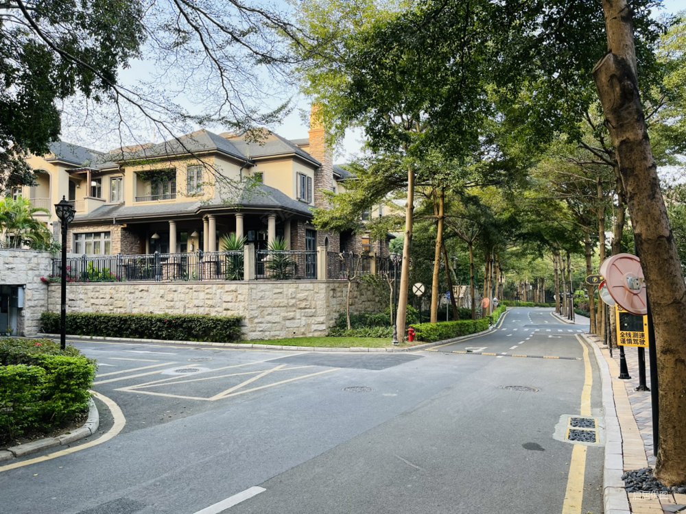 新上笋盘好房,水榭山纯别墅小区保养好,南北通透坐北朝南户型!