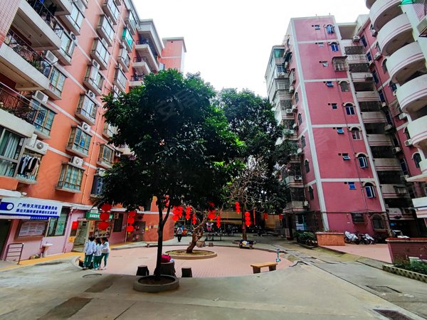 广州天河员村金兴花园吉屋南向三房 可办公室 美容院 工作室 天河公园