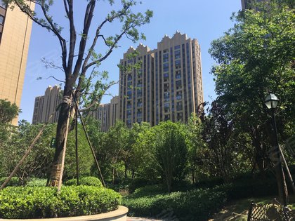 【鑫苑国际广场房价走势,鑫苑国际广场房屋出租,鑫苑国际广场二手房