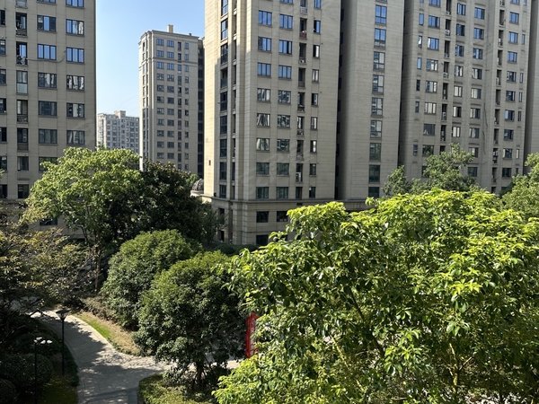 杭州钱塘义蓬兴耀星悦湾(公寓住宅)大江东 义蓬街道 星悦湾 整租 4房