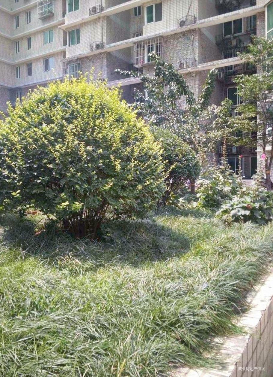 世纪城 金夕园 精装两居室 位置安静 看房方便,金