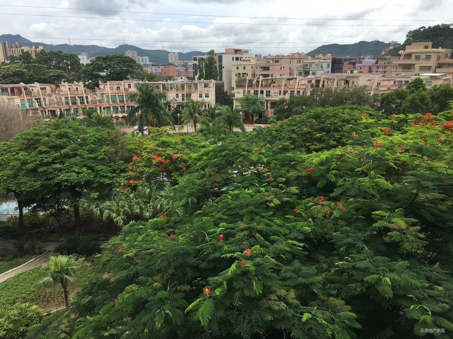 业主犟价急售御景花园精装3房2卫朝南朝园景采光好