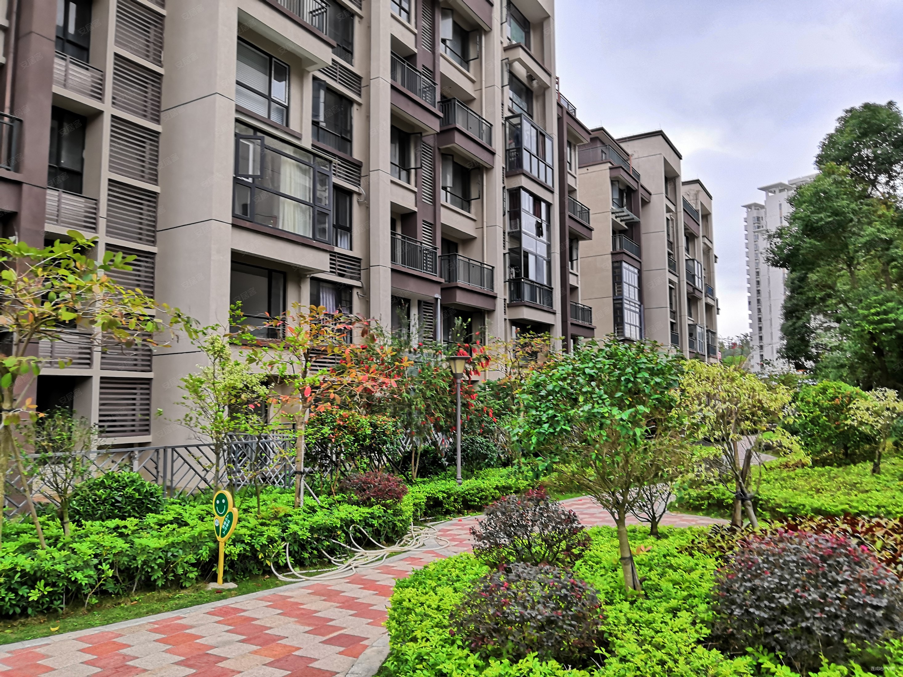 西湖怡景园.大小区环境好.85平大3房.售133万