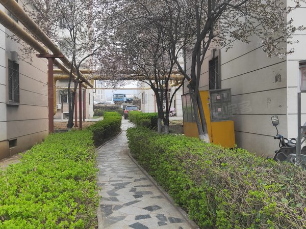 石家庄鹿泉鹿泉开发区朗润园朗润园 保利西悦春天旁 1楼干净 家具家电