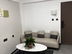 潮州湘桥潮枫路滨江华府中层大套间46平,现代装修,家具电器齐全出租房源真实图片