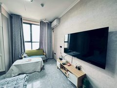 伊犁伊宁市西城天街月租月付开发区瑞豪城市广场精装修单身公寓电梯拎包入住出租房源真实图片