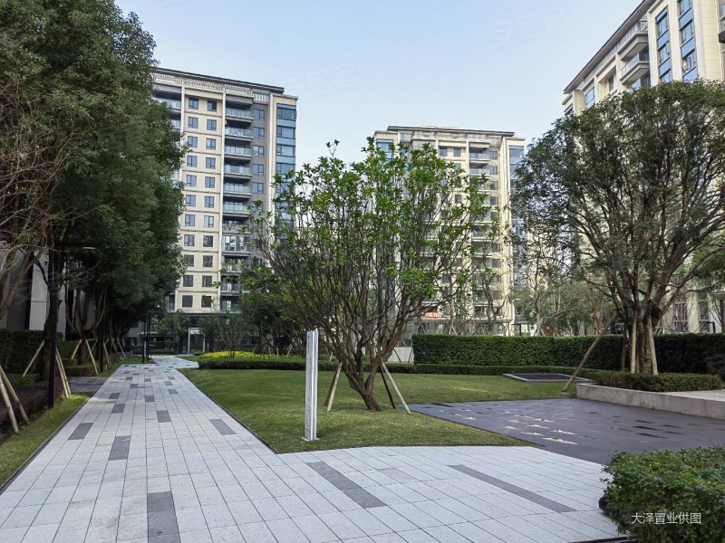 巴滨路 单价9000买龙湖春江天镜正规三房 视野好 品质大盘