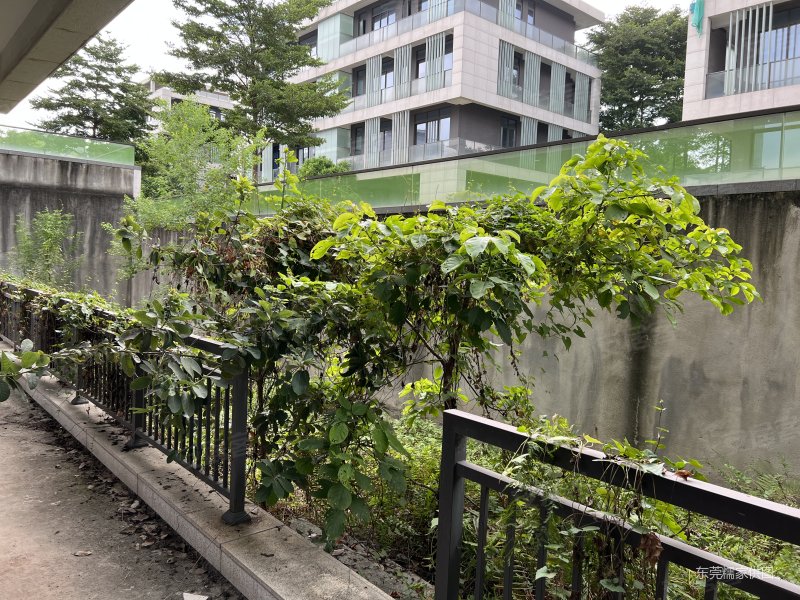 松山湖晟园低密度小区万科生活广场公园环绕居家选择