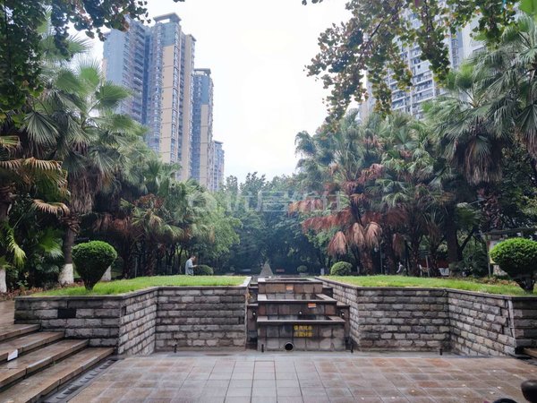 【多图】奥林匹克花园新亚洲,汽博中心租房,奥园四期精装大三房带阳光