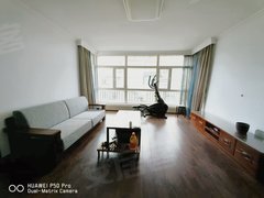 哈尔滨香坊三合路海富山水文园(二期) 3室1厅1卫出租房源真实图片