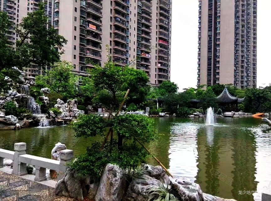 桂丹颐景园朝南3房2厅精装修楼层好满五