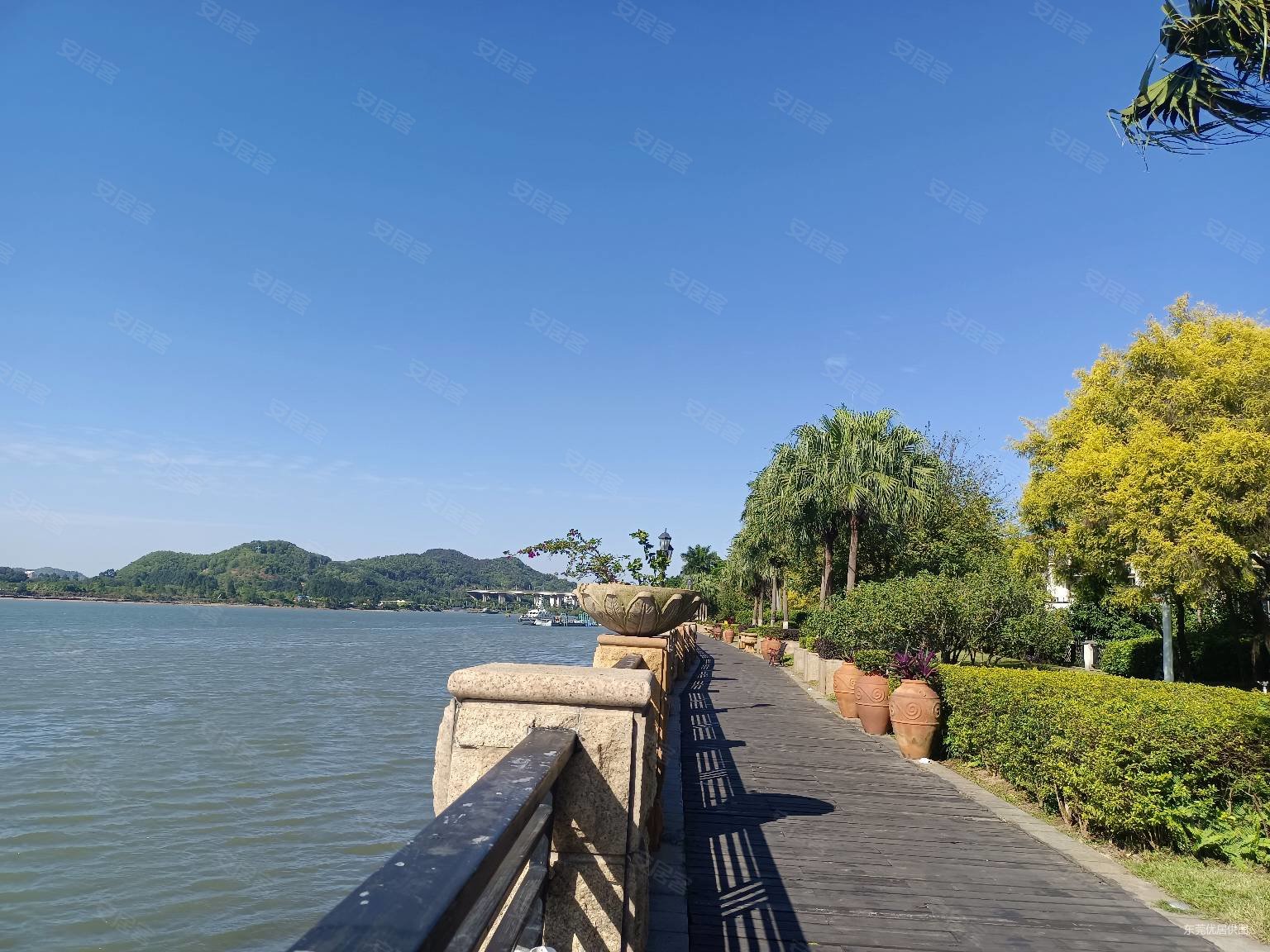 滨海新区一线海景洋房全新精装大3房诚意出售价格可谈