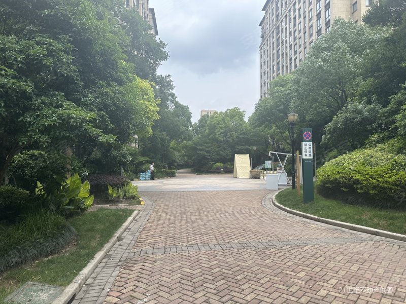 大华朗香花园二期|电梯视野高区|可看东方明珠