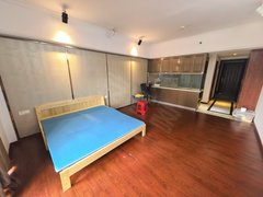 东莞道滘道滘城区钜隆碧琴湾(商住楼) 电梯房 1室1厅1卫 家电齐全出租房源真实图片