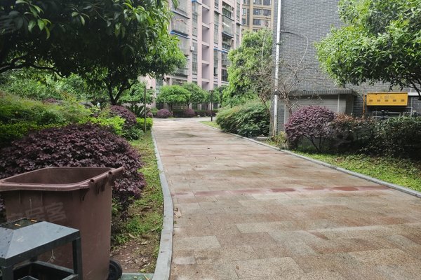 重庆小区 璧山小区 璧山城区小区 绿城上岛