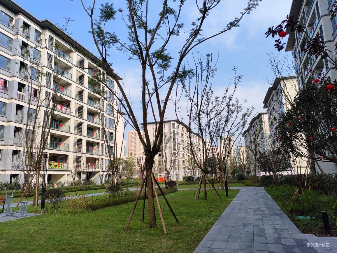 翡丽锦悦,精装洋房,四房双卫,大阳台