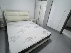 合肥肥西肥西县城北张家园，主卧大房间出租拎包入住出租房源真实图片