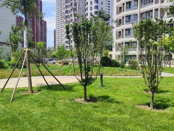 天津河西梅江津铁泽苑津铁泽苑 河边楼栋 南北通透两居室 实拍图随时