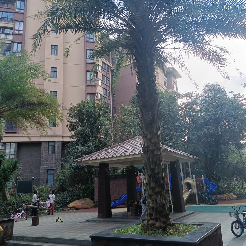 【紫园d区, 紫园d区小区详情,房价走势,房源,业主论坛】- 海口58同城