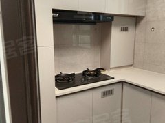 保定莲池河北农大紧邻爱情广场 免取暖  益民路 鑫丰市场 六道口 农大东区出租房源真实图片