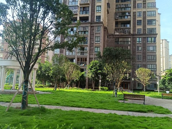 重庆丰都丰都城区龙城华府御峰长坪两室一厅,精装,拎包入住出租房源