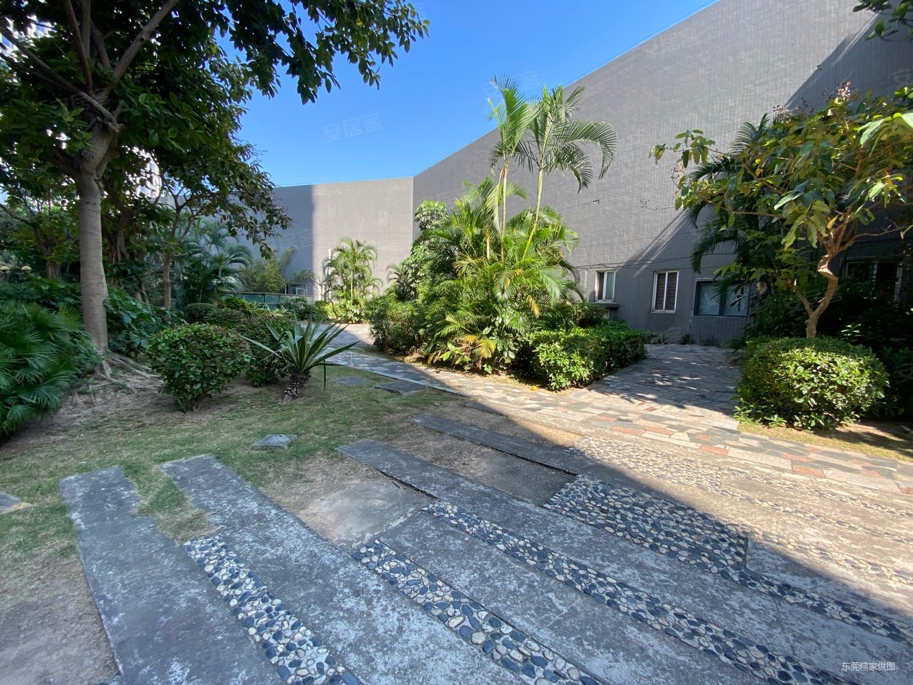 樟木头中心区有电梯 正南朝向 购物方便 商品住宅 楼层好,星耀国际