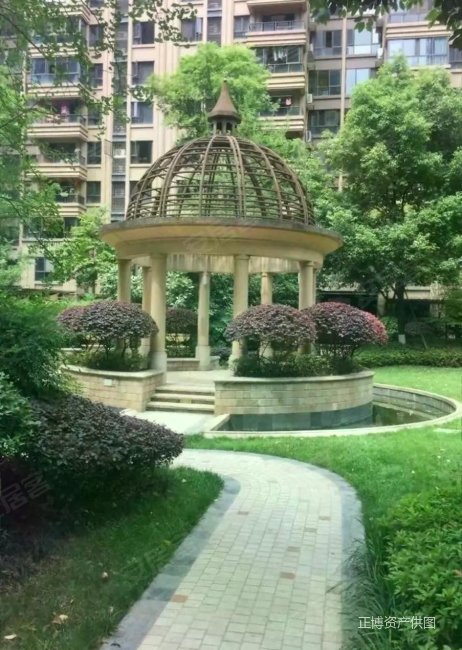 保利金香槟