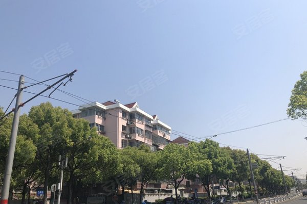 张江镇古桐住宅小区