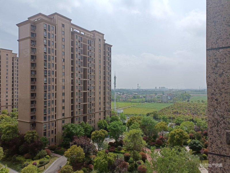 三期进门位置, 好楼层,视野开阔,飞机户型,有钥匙,佳源梦想广场二手房