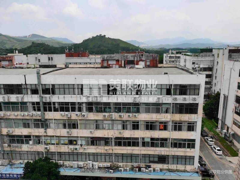 鹏兴花园二期精装南向大三房红本满五税费少看房方便